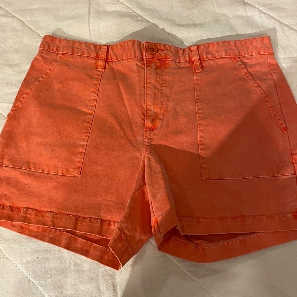 Sanctuary by Anthropologie Shorts Size 30 (FB)
